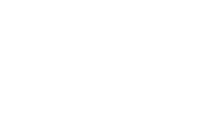 WIX Digital Store logo